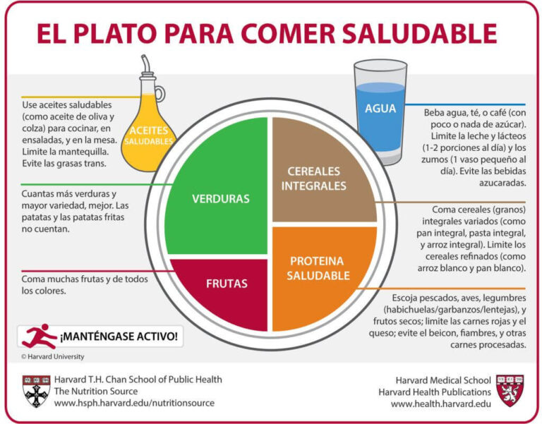 Cómo Debe Ser Un Menú Semanal Para Personas Mayores Cuideo ® Cuidado De Personas Mayores Y 1524